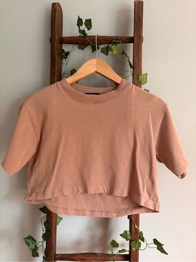 Forever 21 Cropped Tan Boxy Tee